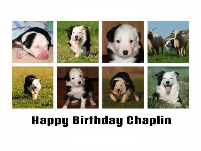 Chaplin_Birthday.jpg
